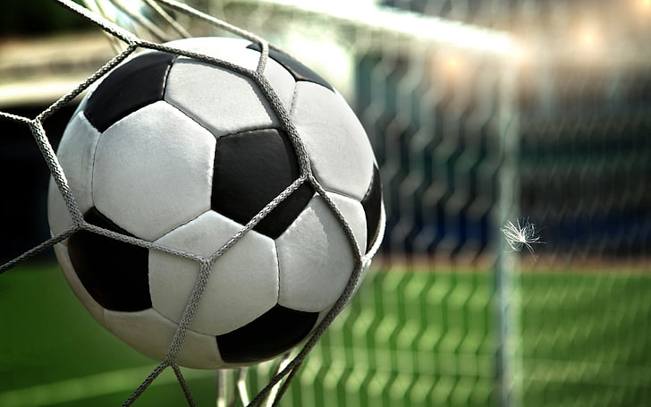Balón de fútbol en la red